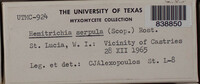 Image Associated With the Occurrence
